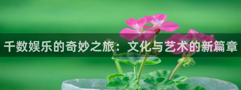 千数娱乐的奇妙之旅：文化与艺术的新篇章