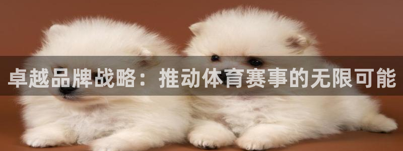 卓越品牌战略：推动体育赛事的无限可能