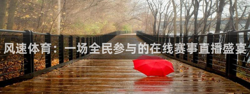风速体育：一场全民参与的在线赛事直播盛宴