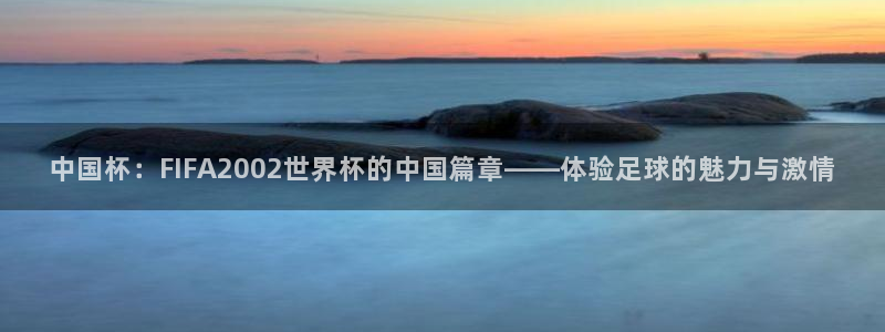 中国杯：FIFA2002世界杯的中国篇章——体验足球的魅力与激情