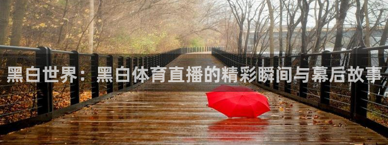 黑白世界：黑白体育直播的精彩瞬间与幕后故事