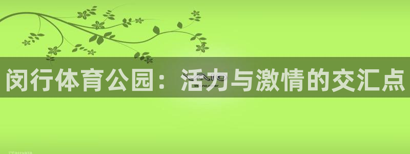 闵行体育公园：活力与激情的交汇点