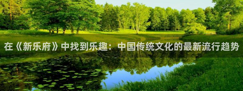 在《新乐府》中找到乐趣：中国传统文化的最新流行趋势