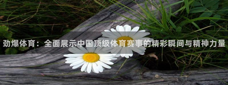 劲爆体育：全面展示中国顶级体育赛事的精彩瞬间与精神力量