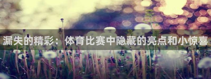 漏失的精彩：体育比赛中隐藏的亮点和小惊喜