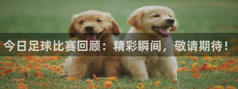 今日足球比赛回顾：精彩瞬间，敬请期待！