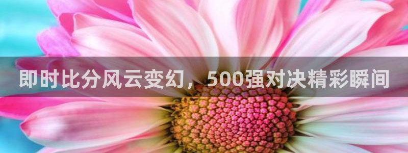 即时比分风云变幻，500强对决精彩瞬间