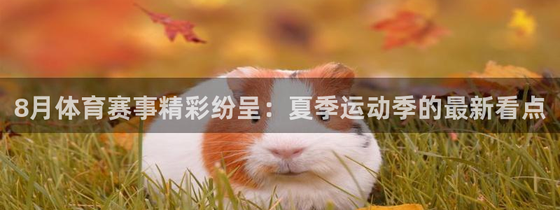 8月体育赛事精彩纷呈：夏季运动季的最新看点