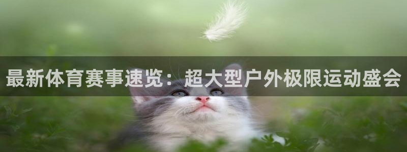 最新体育赛事速览：超大型户外极限运动盛会