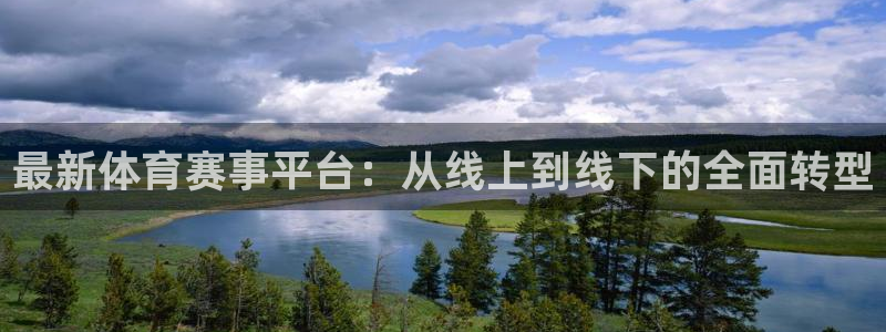 最新体育赛事平台：从线上到线下的全面转型