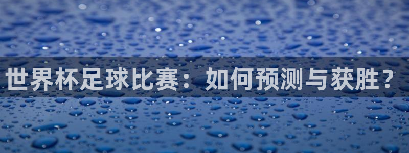 世界杯足球比赛：如何预测与获胜？